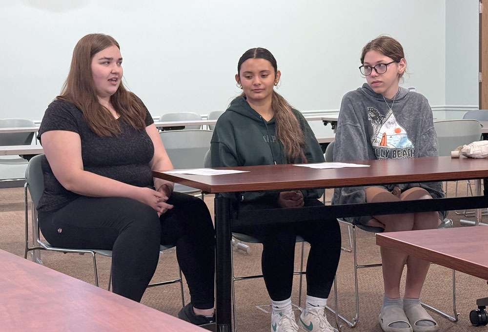 Youth council members share ideas on Charles City park improvements